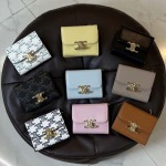 2025年3月17日新品財布 Celine TRIOMPHE 9.5×7.5×3cm   zy工場