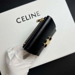 2025年3月17日新品 財布 Celine TRIOMPHE 9.5×7.5×3cm   zy工場