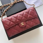 2025年3月17日新品バッグChanel  18x10.5x3.5cm A50076  zy工場