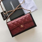 2025年3月17日新品バッグChanel  18x10.5x3.5cm A50076  zy工場