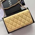 2025年3月17日新品 バッグChanel  18x10.5x3.5cm A50076   zy工場