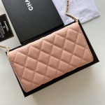 2025年3月17日新品バッグChanel  18x10.5x3.5cm A50076  zy工場