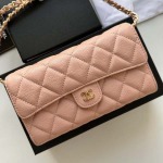 2025年3月17日新品バッグChanel  18x10.5x3.5cm A50076  zy工場