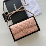 2025年3月17日新品バッグChanel  18x10.5x3.5cm A50076  zy工場