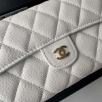 2025年3月17日新品バッグChanel  18x10.5x3.5cm A50076  zy工場
