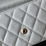 2025年3月17日新品バッグChanel  18x10.5x3.5cm A50076  zy工場