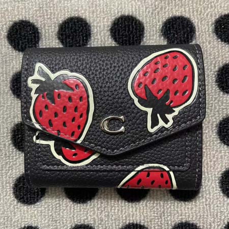 2025年3月17日新作財布Coach  zy工場