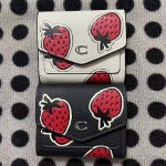 2025年3月17日新作財布Coach  zy工場