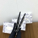 2025年3月17日新作財布Dior  SIZE:9.4 x 13.3 cm zy工場