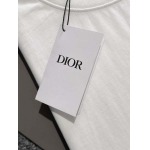 2025年3月19日高品質新作Dior半袖Tシャツ HoHo工場