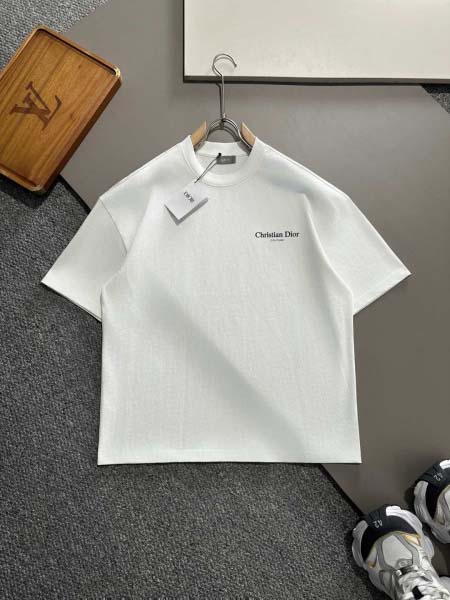 2025年3月19日高品質新作Dior半袖Tシャツ HoHo...