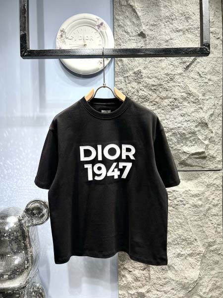 2025年3月19日高品質新作Dior半袖Tシャツ HoHo...