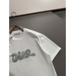 2025年3月19日高品質新作Dior半袖Tシャツ HoHo工場