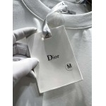 2025年3月19日高品質新作Dior半袖Tシャツ HoHo工場