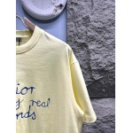 2025年3月19日高品質新作Dior半袖Tシャツ HoHo工場