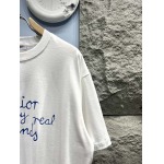 2025年3月19日高品質新作Dior半袖Tシャツ HoHo工場