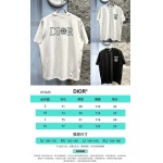 2025年3月19日高品質新作Dior半袖Tシャツ HoHo工場