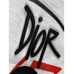 2025年3月19日高品質新作 Dior半袖Tシャツ HoHo工場