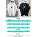2025年3月19日高品質新作 Dior半袖Tシャツ HoHo工場