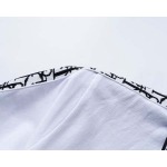 2025年3月25日入荷春夏新作Dior半袖Tシャツshun工場