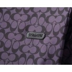 2025年3月25日入荷春夏新作Gucci半袖 セット上下shun工場