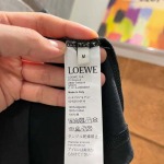 2025年3月26日入荷春夏高品質新作LOEWE半袖 tシャツTF工場