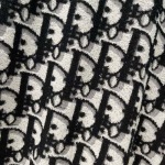 2025年3月26日入荷春夏高品質新作Dior半袖 tシャツTF工場