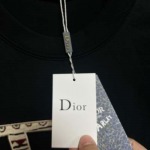 2025年3月26日入荷春夏高品質新作Dior半袖 tシャツTF工場