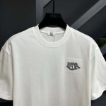 2025年3月26日入荷春夏高品質新作Dior半袖 tシャツTF工場