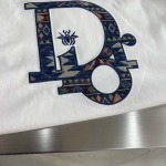 2025年3月26日入荷春夏高品質新作Dior半袖 tシャツTF工場