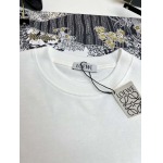 2025年3月26日入荷春夏高品質新作LOEWE半袖 tシャツTF工場