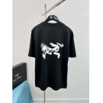 2025年3月26日入荷春夏高品質新作ARCTERYX半袖 tシャツTF工場