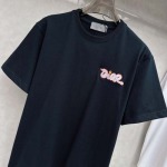 2025年3月26日入荷春夏高品質新作Dior半袖 tシャツTF工場