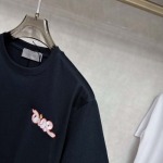 2025年3月26日入荷春夏高品質新作Dior半袖 tシャツTF工場