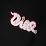 2025年3月26日入荷春夏高品質新作Dior半袖 tシャツTF工場