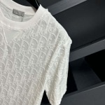2025年3月26日入荷春夏高品質新作Dior半袖 tシャツTF工場