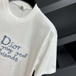 2025年3月26日入荷春夏高品質新作Fendi半袖 tシャツTF工場