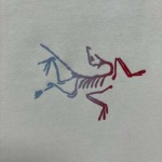 2025年3月26日入荷春夏高品質新作ARCTERYX半袖 tシャツTF工場