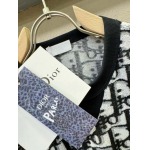 2025年3月27日入荷春夏高品質新作Dior半袖 tシャツTF工場