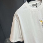 2025年3月27日入荷春夏高品質新作Dior半袖 tシャツTF工場