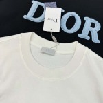 2025年3月27日入荷春夏高品質新作Dior半袖 tシャツTF工場