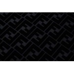 2025年3月27日入荷春夏高品質新作FENDI半袖 tシャツTF工場