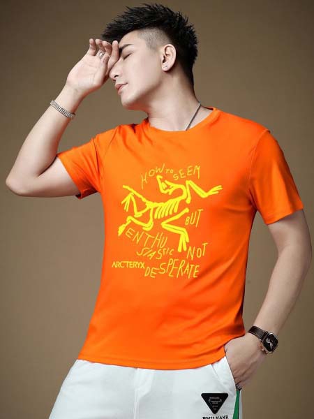 2025年4月2日入荷新作ARCTERYX半袖 TシャツM-5XL/zhan工場