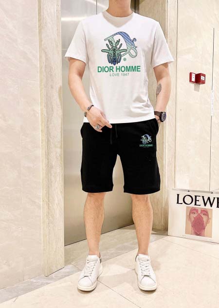 2025年4月2日入荷新作DIOR夏メンズ 上下セットM-5XL/zhan工場