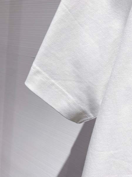 2025年4月3日入荷新作Dior半袖 Tシャツ高級品/LD工場