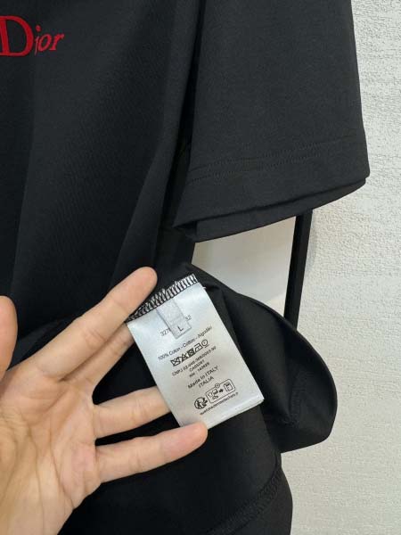 2025年4月4日入荷新作DIOR半袖 Tシャツ高級品/LD工場