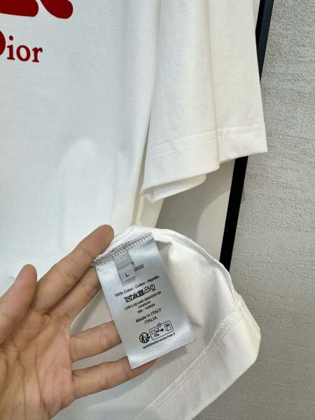 2025年4月4日入荷新作DIOR半袖 Tシャツ高級品/LD工場