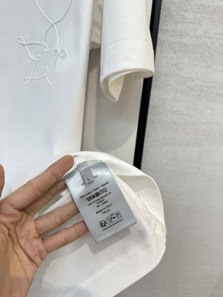 2025年4月4日入荷新作DIOR半袖 Tシャツ高級品/LD工場