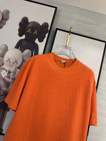 2025年4月4日入荷新作DIOR半袖 Tシャツ高級品/LD工場