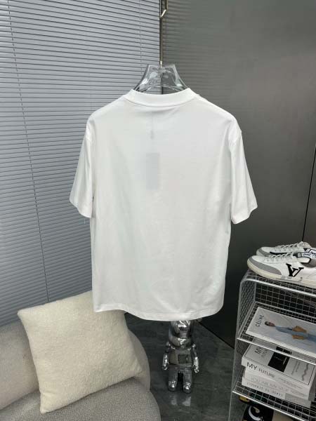 2025年4月4日入荷新作DIOR半袖 Tシャツ高級品/LD工場